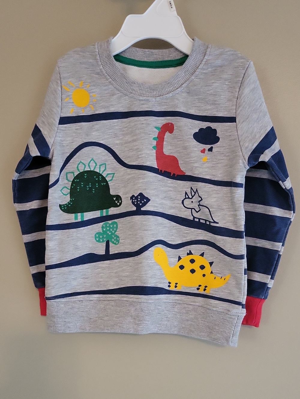 Grey Dinosaur striped sweatshirt -